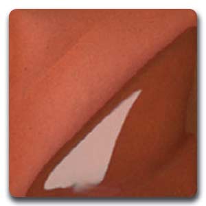 AMACO V-303 Terra Cotta Underglaze