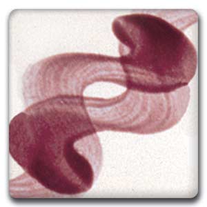 Spectrum 627 Orchid One-Stroke Underglaze