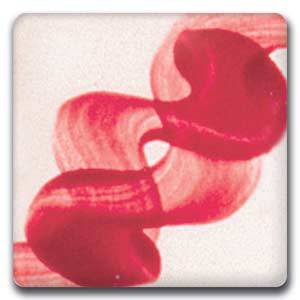 Spectrum 638 Christmas Red One-Stroke Underglaze