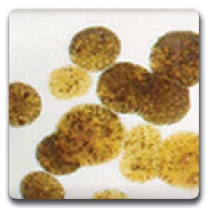Spectrum CR05 Reactive Brown Glaze Crystals