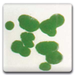Spectrum CR06 Green Glaze Crystals