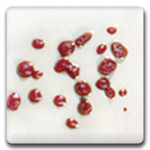 Spectrum CR07 Maroon Glaze Crystals