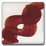 Spectrum 609 Auburn One-Stroke Underglaze