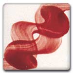Spectrum 628 Burgundy Wine One-Stroke Underglaze