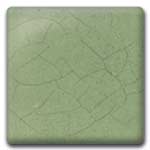 Spectrum 854 Celadon Glaze