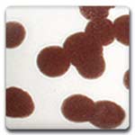 Spectrum CR04 Dark Brown Glaze Crystals