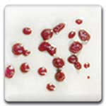 Spectrum CR07 Maroon Glaze Crystals