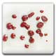 Spectrum CR07 Maroon Glaze Crystals