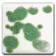 Spectrum CR09 Reactive Green Glaze Crystals