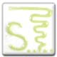 Spectrum RAC 7 Lime Green Glaze