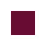 Mason 6031 Deep Salmon Stain