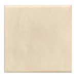 Square Bisque Tile (8