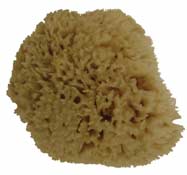 Natural Sponge Sea Wool