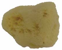 #A149160 – Natural Sponge Silk – 3 Inch