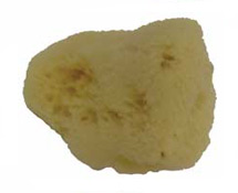 #A149158 – Natural Sponge Silk – 2-3 Inch